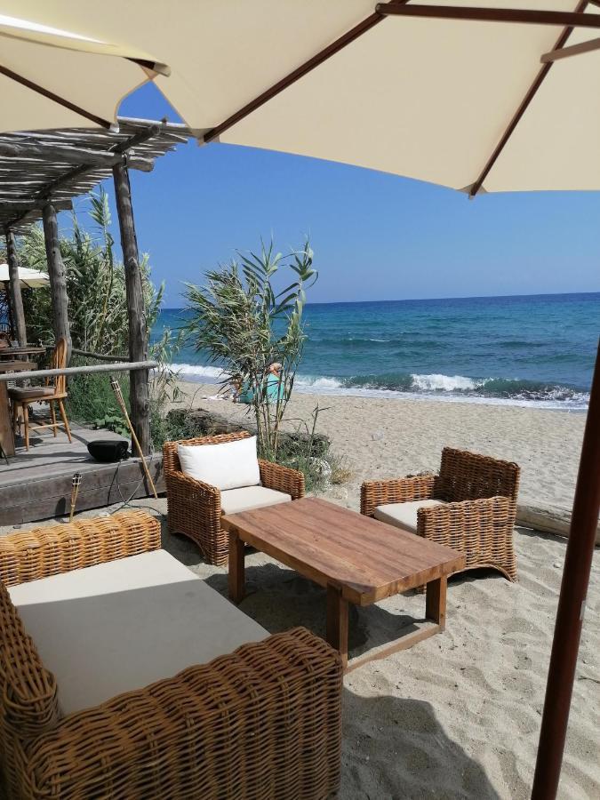 Studio 4 Personnes Bord De Mer Avec Piscine Wifi Cervione Luaran gambar