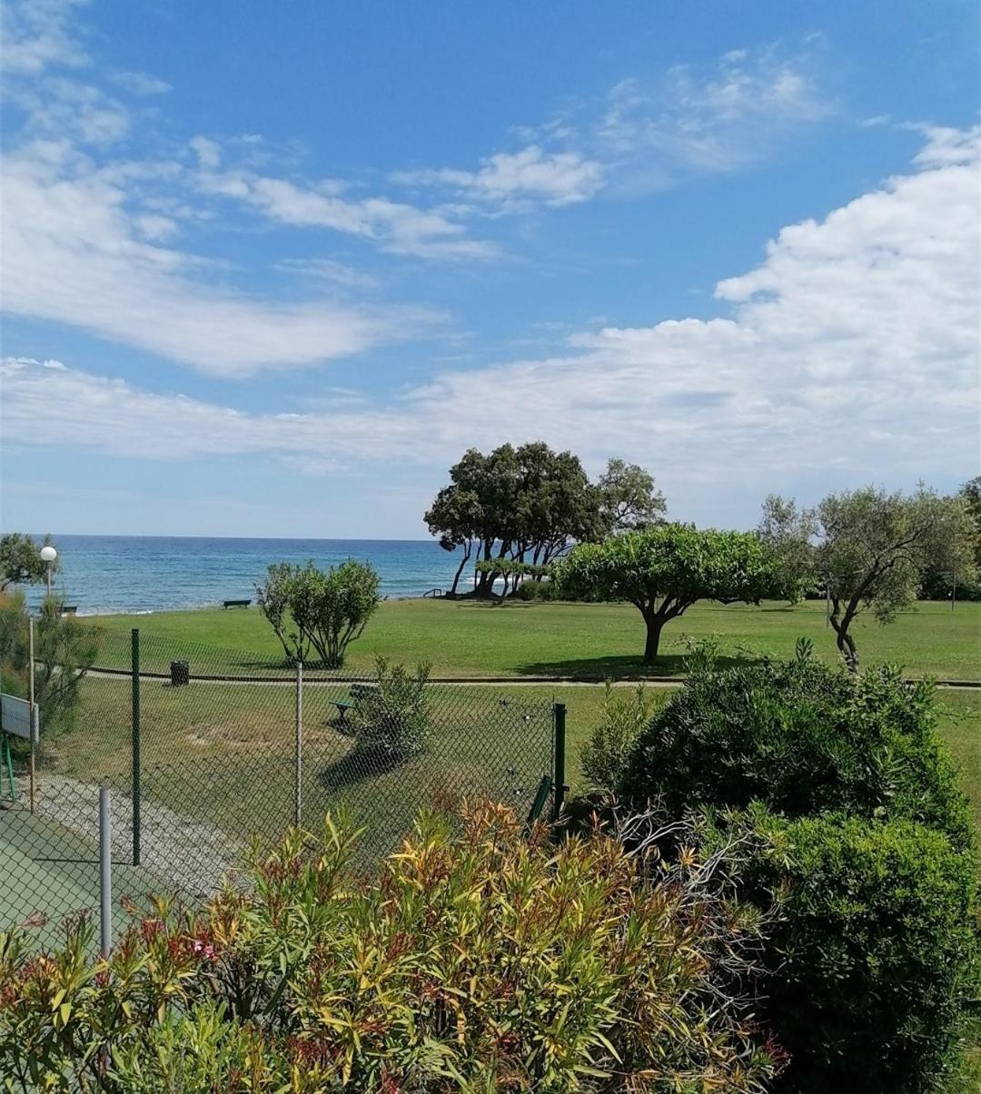 Studio 4 Personnes Bord De Mer Avec Piscine Wifi Cervione Luaran gambar